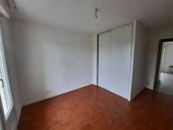 Photo n°11