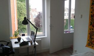 Photo n°5