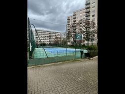 Photo n°7