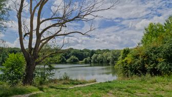 Photo n°5