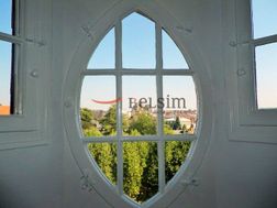 Photo n°6