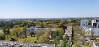 Photo n°8