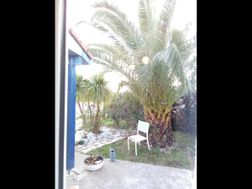 Photo n°14