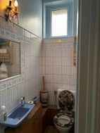 Photo n°5