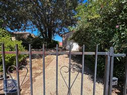 Photo n°2