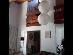 Photo n°5