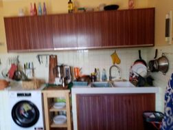 Photo n°5