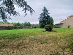Photo n°5