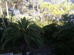 Photo n°1