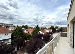Photo n°14