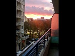Photo n°14