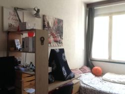 Photo n°1