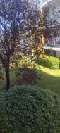 Photo n°4
