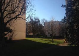 Photo n°1