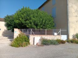 Photo n°7