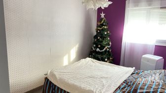 Photo n°4