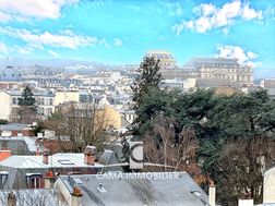 Photo n°8