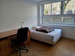 Photo n°6