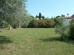 Photo n°6