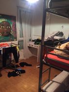 Photo n°6