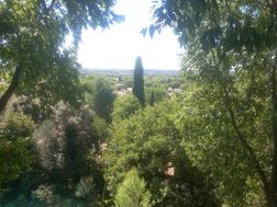Photo n°5