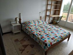 Photo n°6