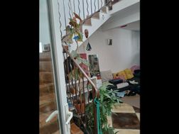 Photo n°5
