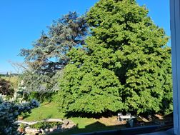Photo n°4