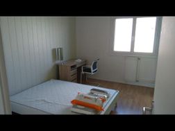 Photo n°3