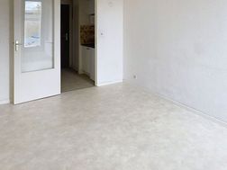 Photo n°3