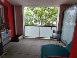 Photo n°4