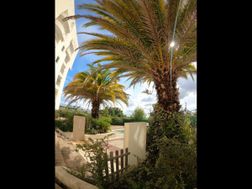 Photo n°1