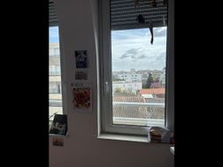 Photo n°1