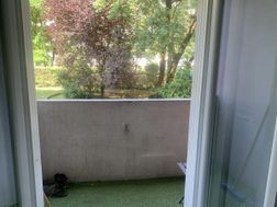 Photo n°5