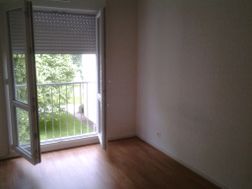 Photo n°6