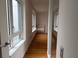 Photo n°6