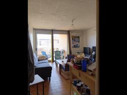Photo n°4