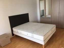 Photo n°5