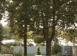 Photo n°6