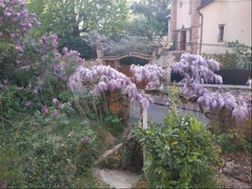 Photo n°7