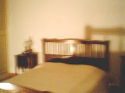 Photo n°1