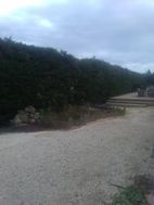 Photo n°4