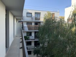 Photo n°2