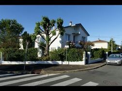 Photo n°6