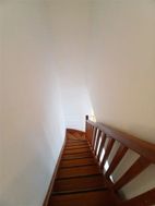 Photo n°4