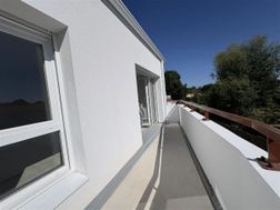 Photo n°3
