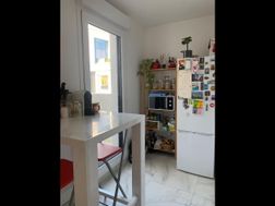 Photo n°5