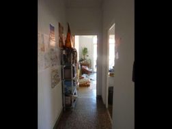 Photo n°8