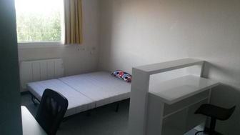 Photo n°3