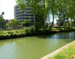 Photo n°1